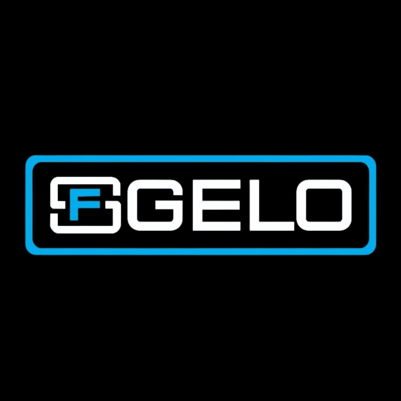 FS Gelo